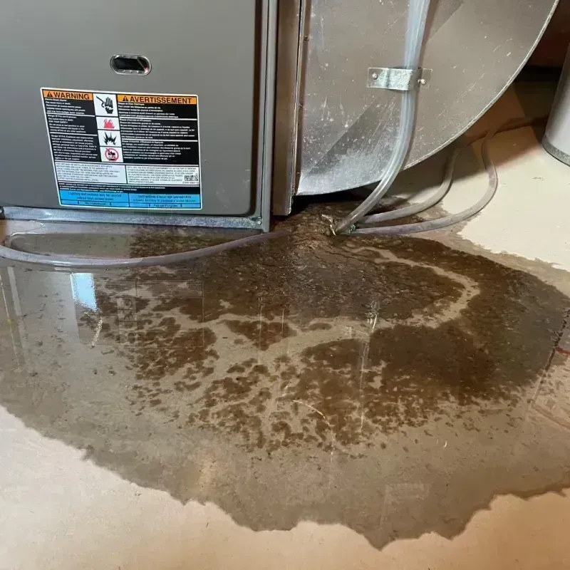 Appliance Leak Cleanup in Carrollton, IL